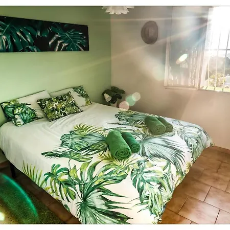 Apartment Casa Palmera Cozy & Modern Seaview Eco