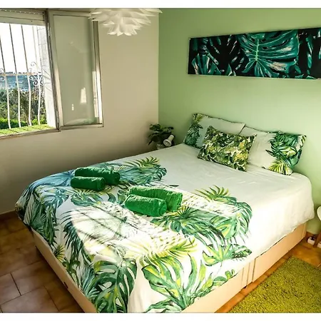 Casa Palmera Cozy & Modern Seaview Eco Apartment